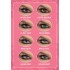 Pure Contact Lenses