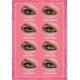 Pure Contact Lenses