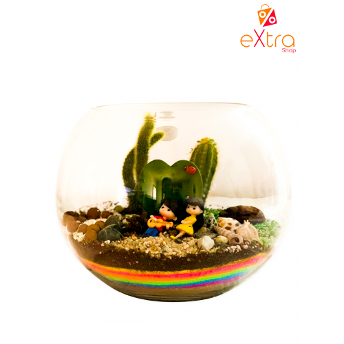 lovely terrarium