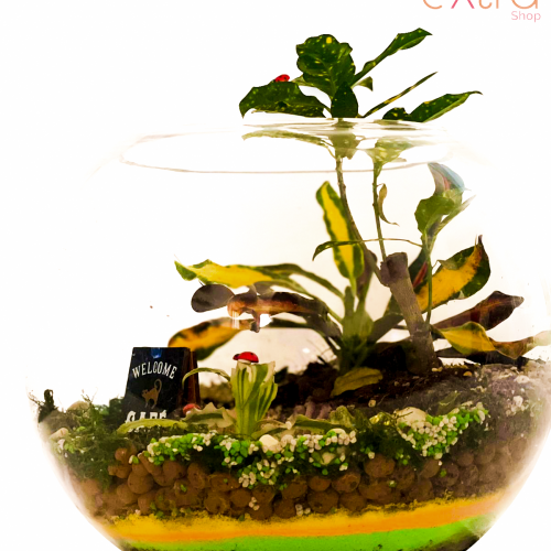 Coffee Terra
