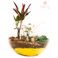Al Safa Terrarium 