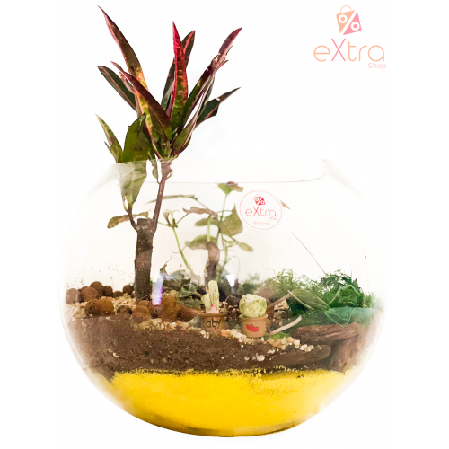 Al Safa Terrarium 