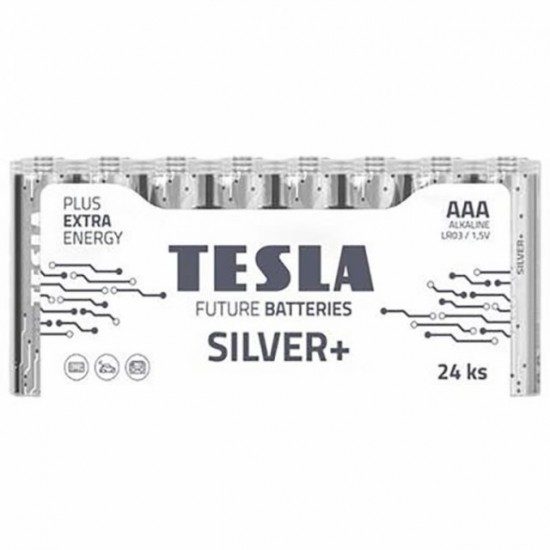 BATTERIES TESLA  AAA SILVER+