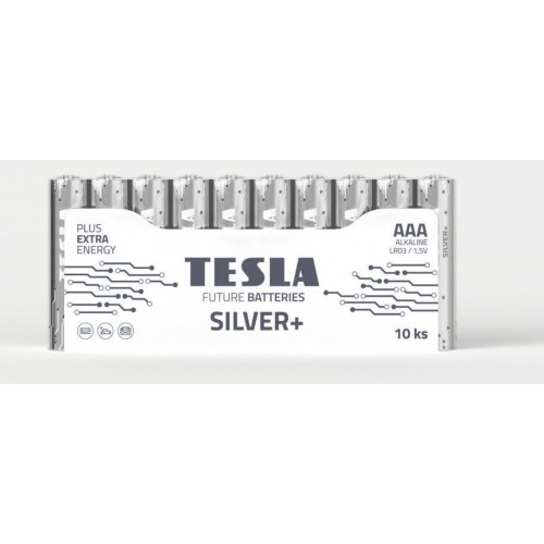 BATTERIES TESLA   AAA SILVER+