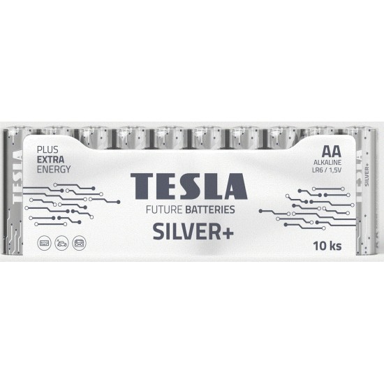 BATTERIES TESLA  AA SILVER