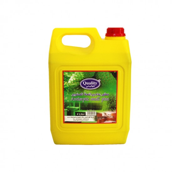 CARTON 4 PCS QUALITY ANTISEPTIC LIQUID 4 ltr