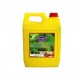 CARTON 4 PCS QUALITY ANTISEPTIC LIQUID 4 ltr
