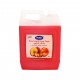 CARTON 4 PCS QUALITY HAND LIQUID SOAP 4 ltr - PEACHE