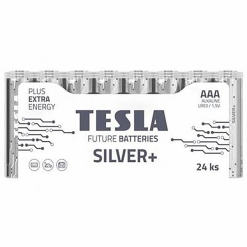 BATTERIES TESLA  AAA SILVER+