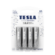 BATTERIES TESLA  AA SILVER