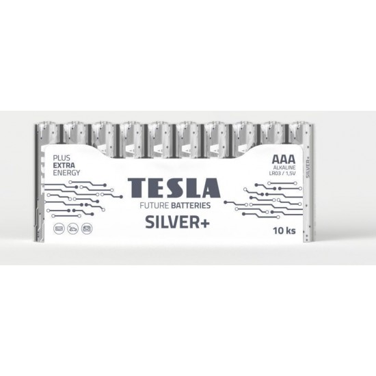 BATTERIES TESLA   AAA SILVER+