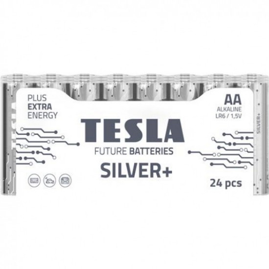 BATTERIES TESLA  AA SILVER+