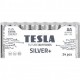 BATTERIES TESLA  AA SILVER+