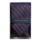 Tommy Hilfiger Tie for Men