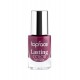 Topface Lasting Color Nail Enamel – N 041