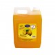 CARTON 4 PCS QUALITY DISH WASH LIQUID SOAP - 4 ltr
