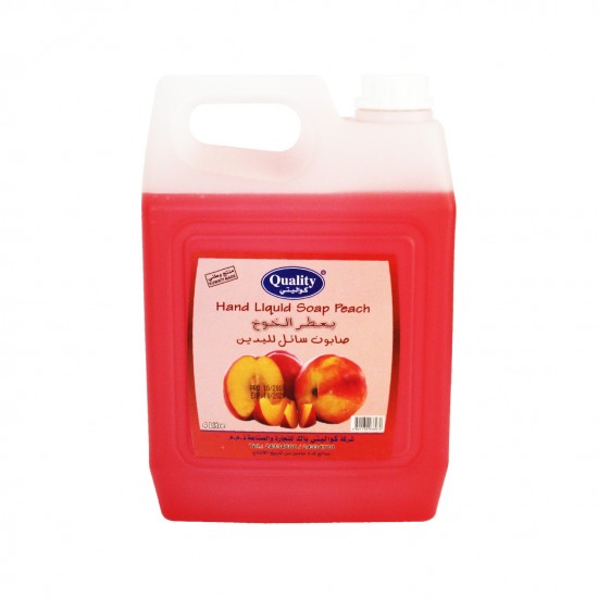 CARTON 4 PCS QUALITY HAND LIQUID SOAP 4 ltr - PEACHE