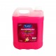 CARTON 4 PCS QUALITY HAND LIQUID SOAP - 5 ltr