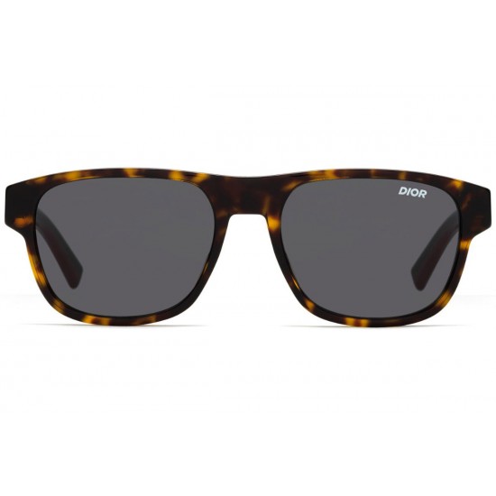 DIOR SUNGLASS - DIORFLAG2 0861R